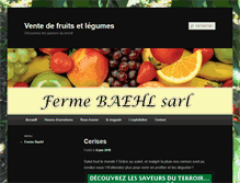 Tablet Screenshot of ferme-baehl.com